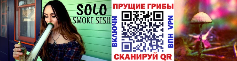 omg как зайти  Бугуруслан  Галлюциногенные грибы Psilocybine cubensis 