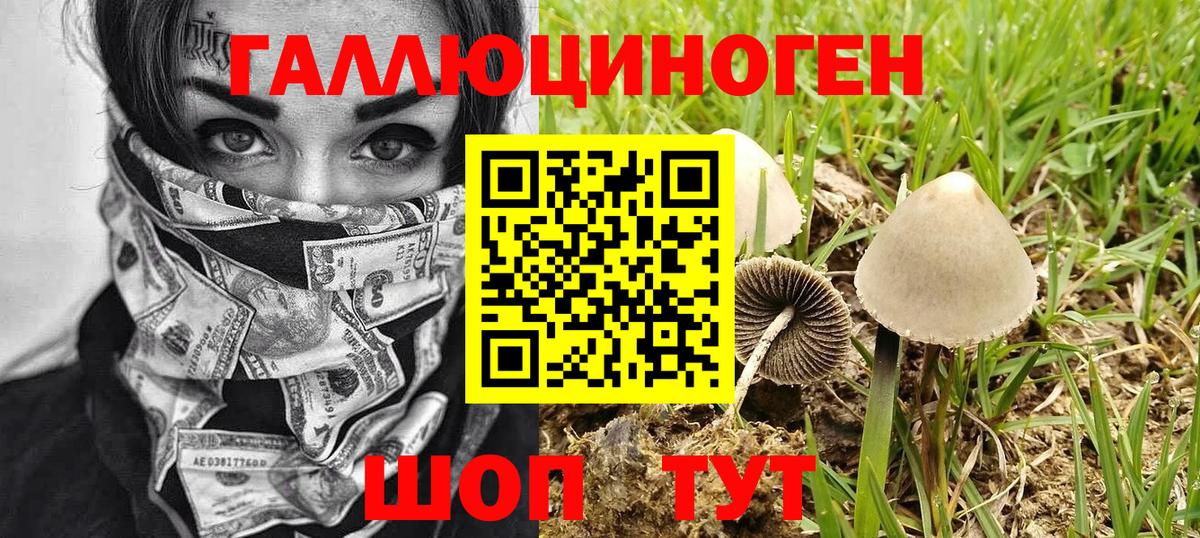 Галлюциногенные грибы мицелий Бугуруслан
