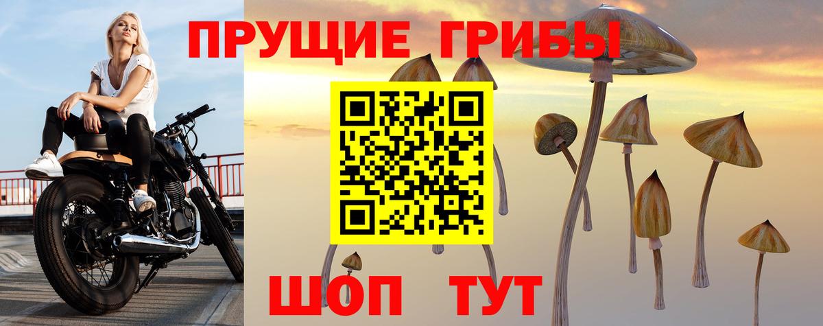 Галлюциногенные грибы Psilocybe  Псилоцибиновые грибы GOLDEN TEACHER  Вход с VPN  Бугуруслан 